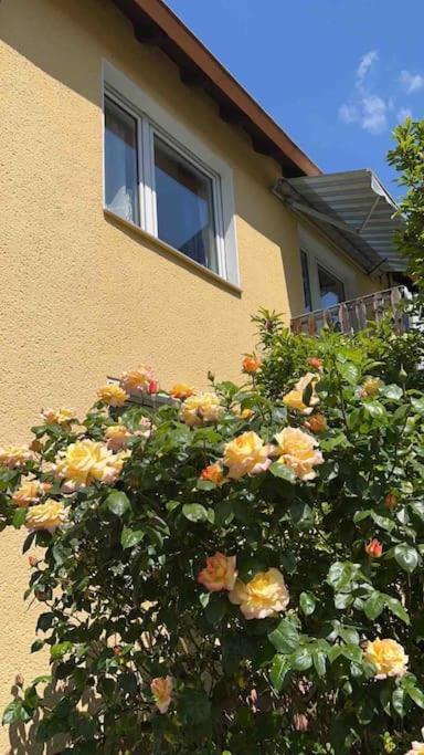 Duesseldorf Messe And Airport, 2-Bedroom Apartment With Kitchen And Garden Duisburg Exterior foto