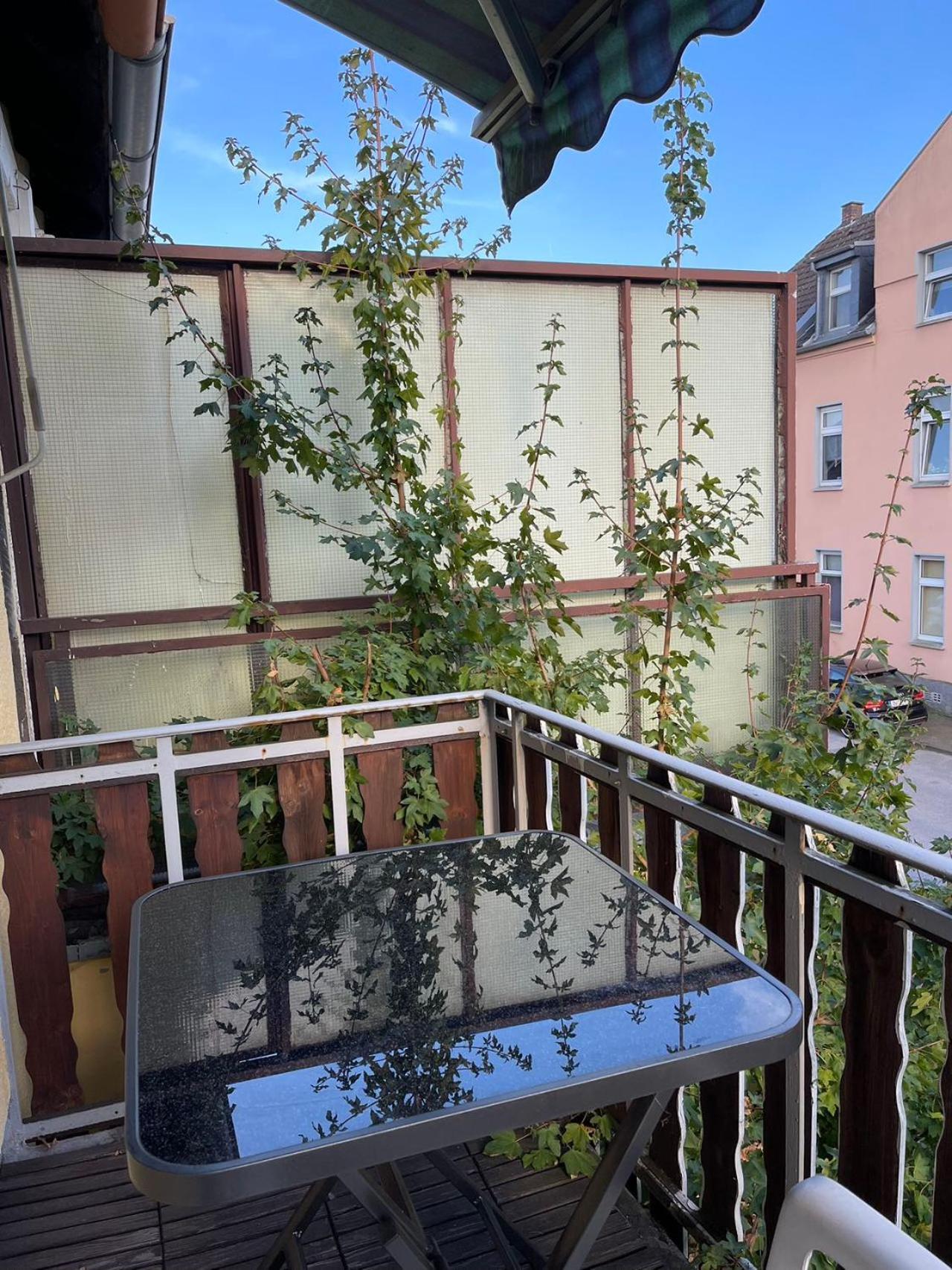 Duesseldorf Messe And Airport, 2-Bedroom Apartment With Kitchen And Garden Duisburg Exterior foto